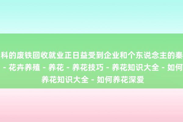 专科的废铁回收就业正日益受到企业和个东说念主的秦皇岛花卉网 - 花卉养殖 - 养花 - 养花技巧 - 养花知识大全 - 如何养花深爱